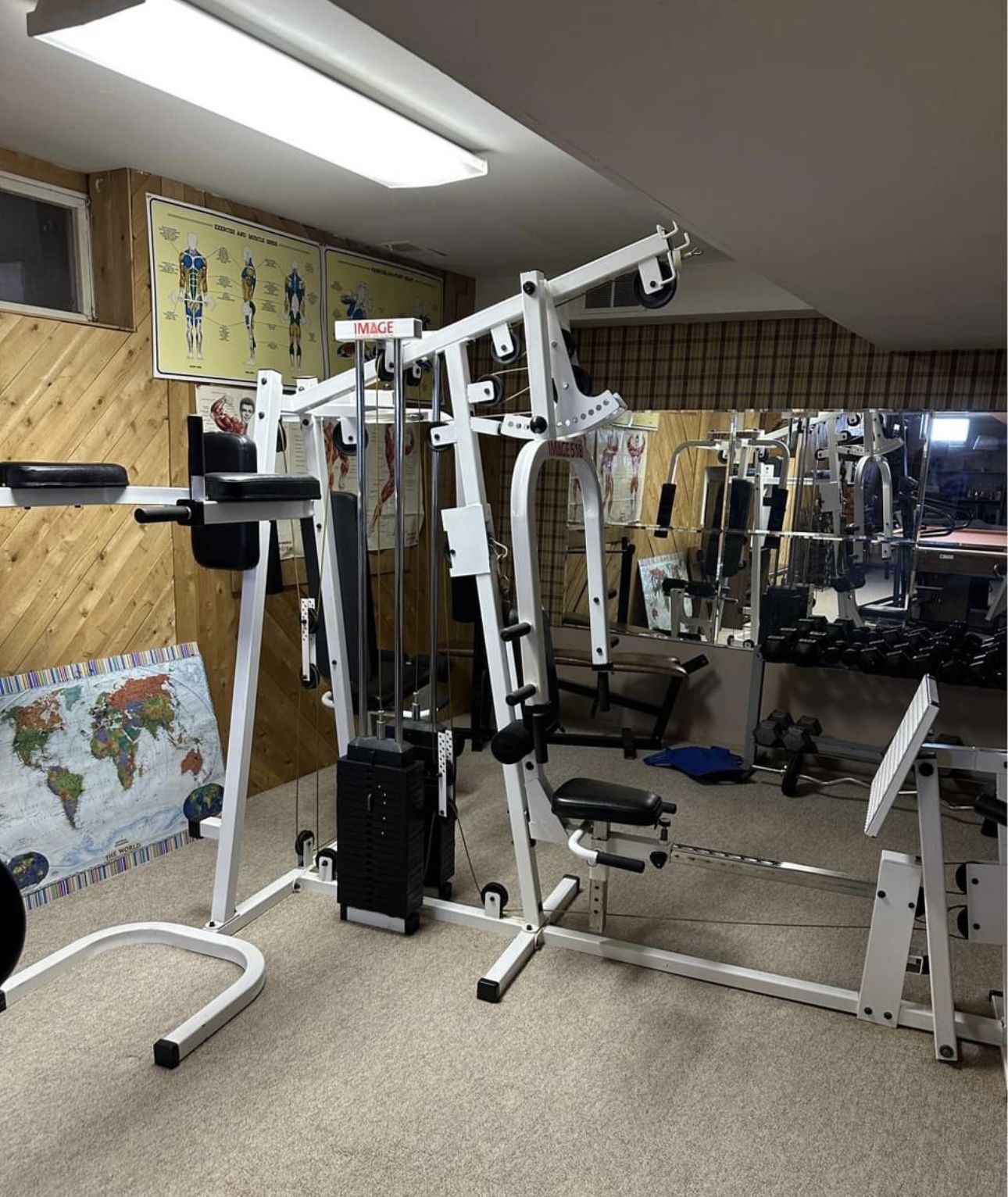 Universal Industrial Home Gym System