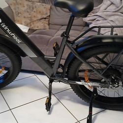 750 Watt  E Bike