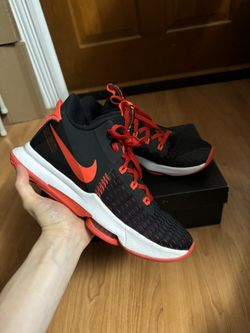 Size 9.5 Lebron 5 Bred