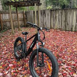 Hi Boy P6 2024 E-bike 