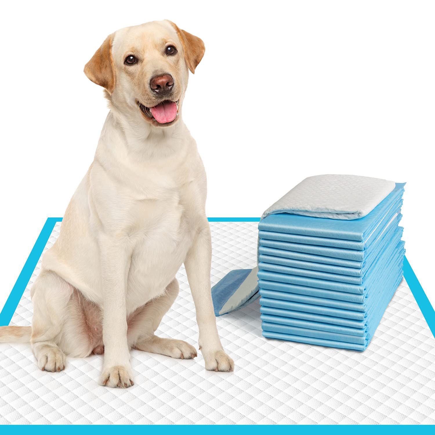 A BOX WITH PADS (6 BAGS OF 25 COUNT EACH)