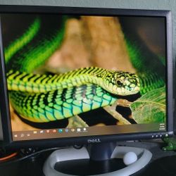 Dell 19" Monitors (2)