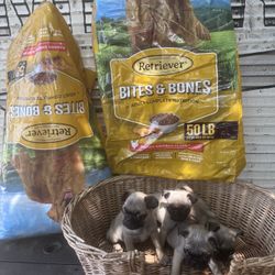 Dog Food 