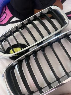 BMW KIDNEY GRILL