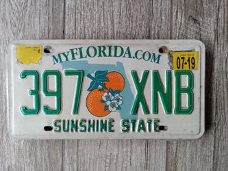 Vintage Florida Tag 