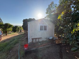 Yellow tuff shed