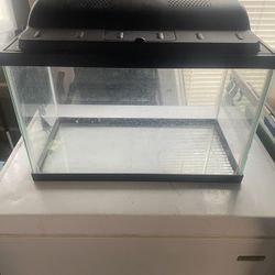 10 Gallon fish Tank 