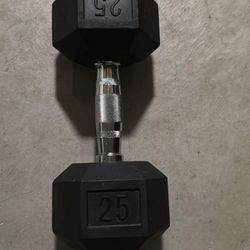 25lb Dumbbell 