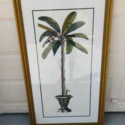 Montaro Elegant Art Framed Banana Plant Print. 46H 27W