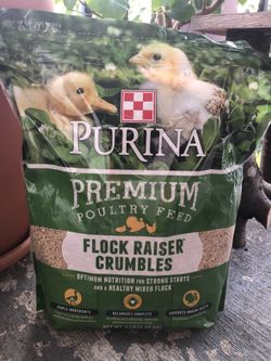 Purina premium poultry feed (flock raiser crumbles)