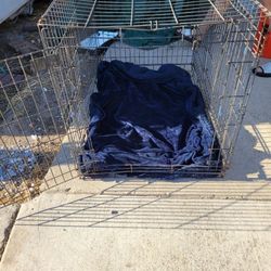 Dog Crate 