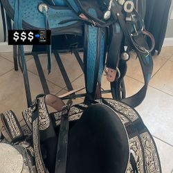 Sillas De Caballos 