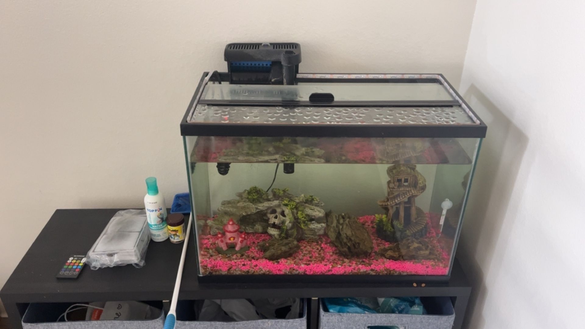 Complete fish tank setup 