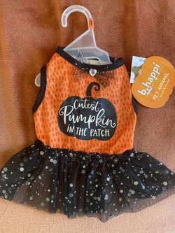 Halloween Pet Dress Xs