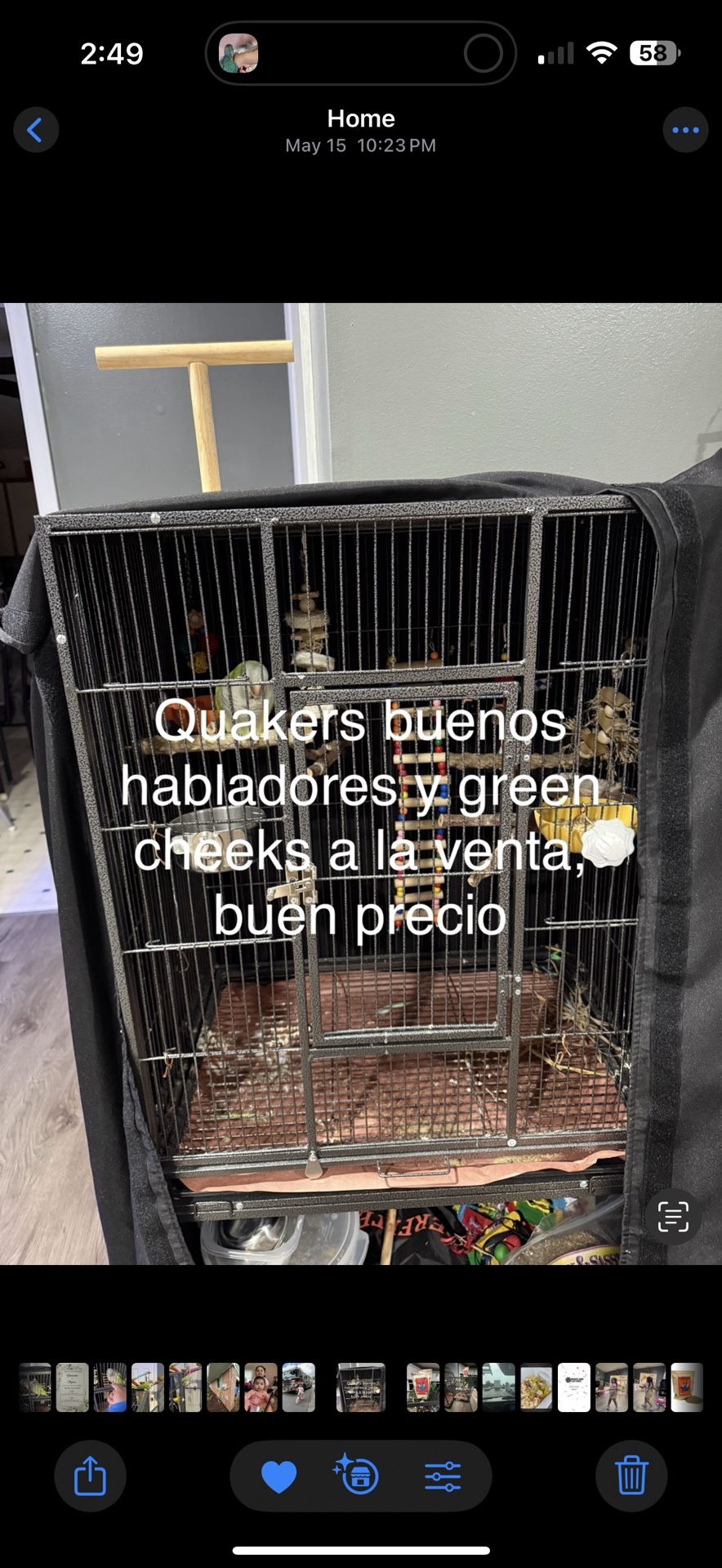 Jaula, Cage