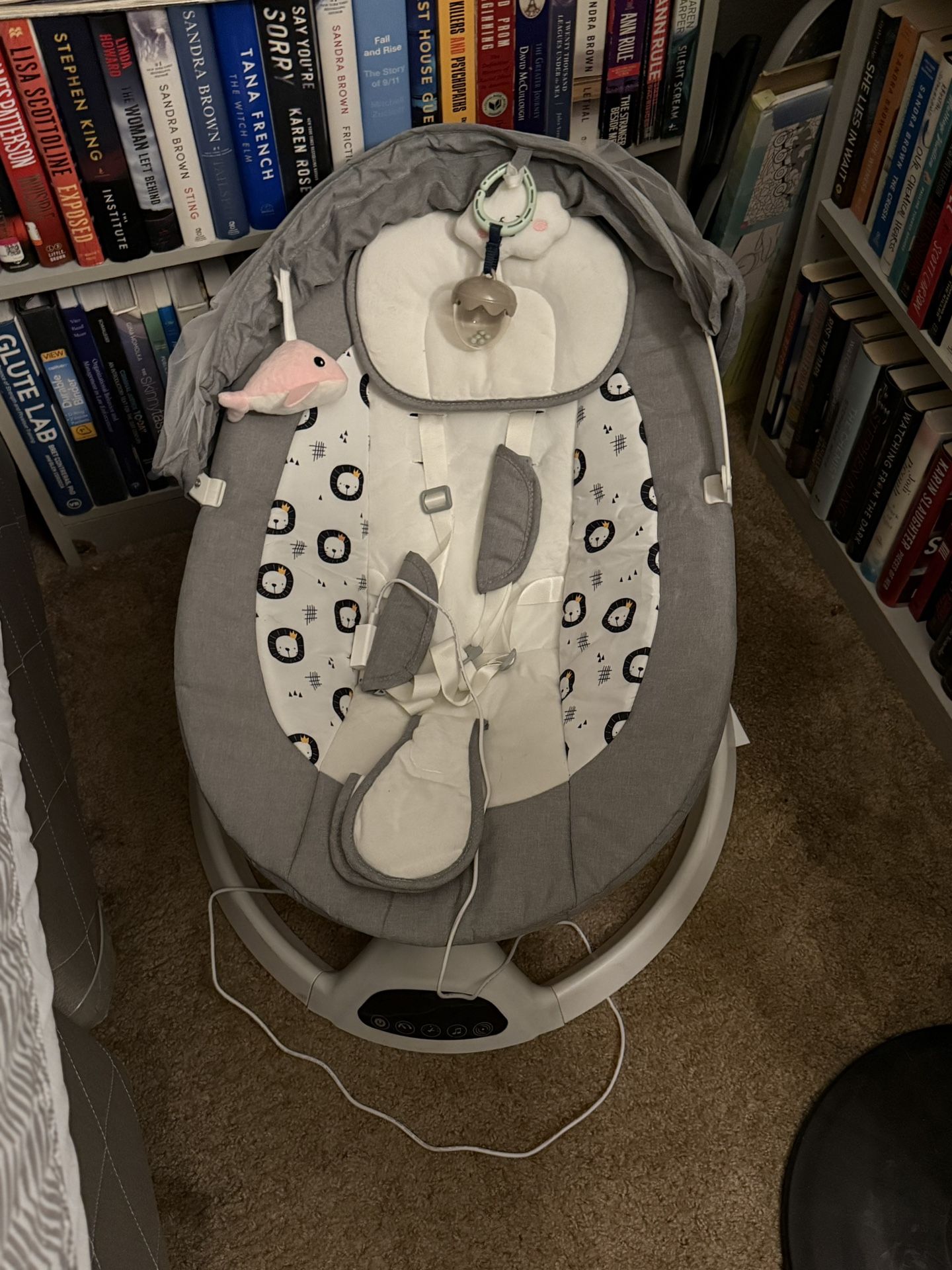 Newborn bassinet & Infant Swing