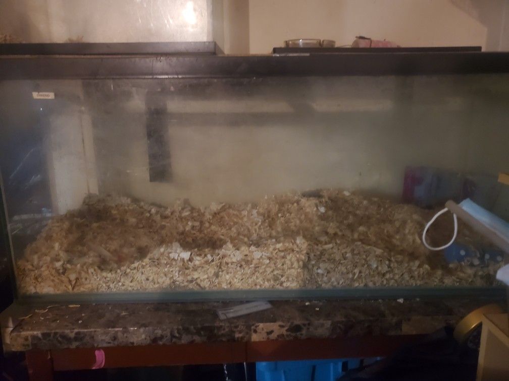 75 Gallon Fish Tank And 10 Gallon Fish Tank