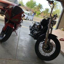 2009 Harley Dyna street bob