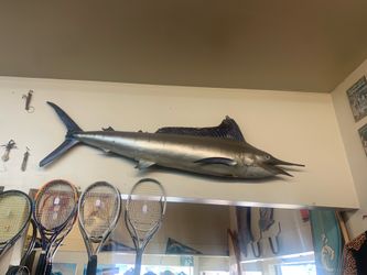 Vintage Striped Marlin Taxidermy Skin Over Wood 7’ $250-