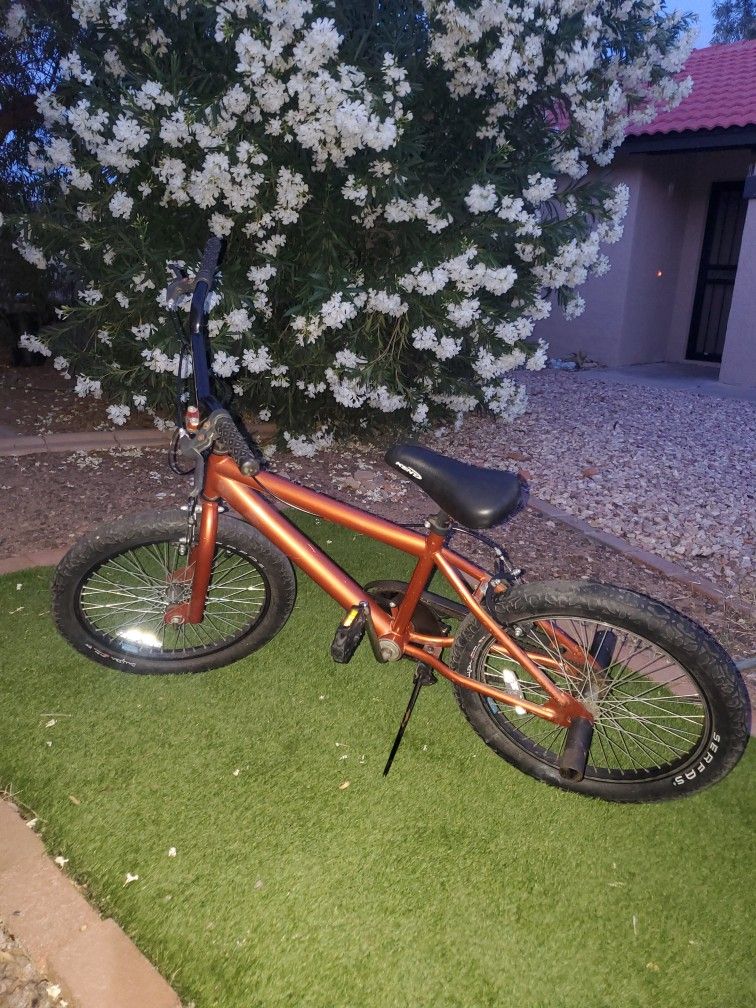 20in Bmx Bike
