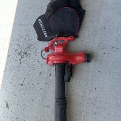 Leaf Blower / Vacuum 