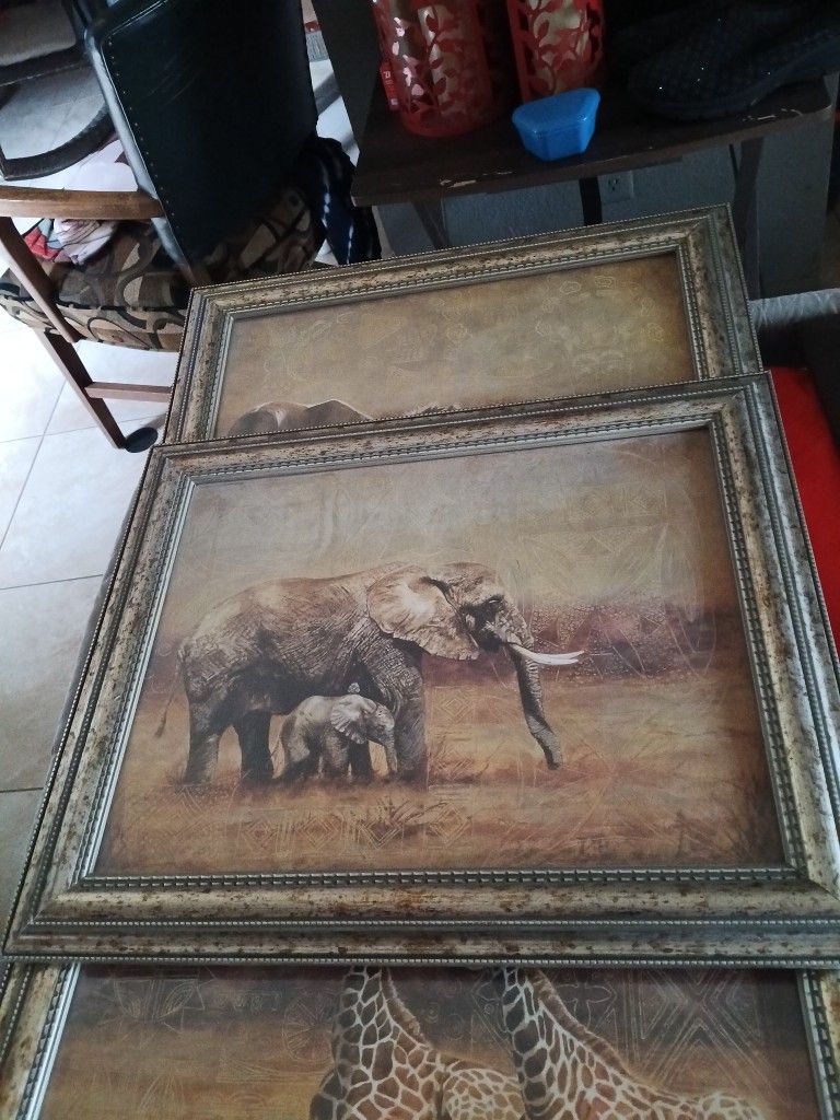 For The Home