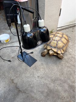 Zoomed Adjustable dual heat lamp!