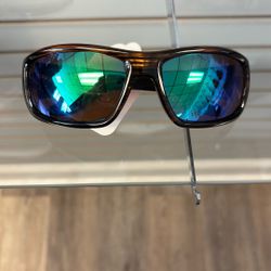 R Polarized Sunglasses 