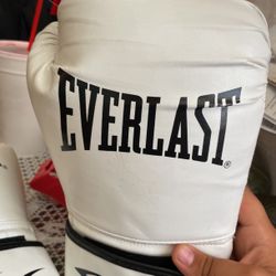 Everlast Boxing Gloves