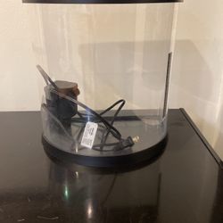 Fish Tank With Filter 