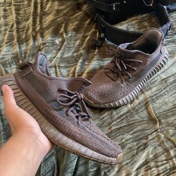 Yeezys size 10