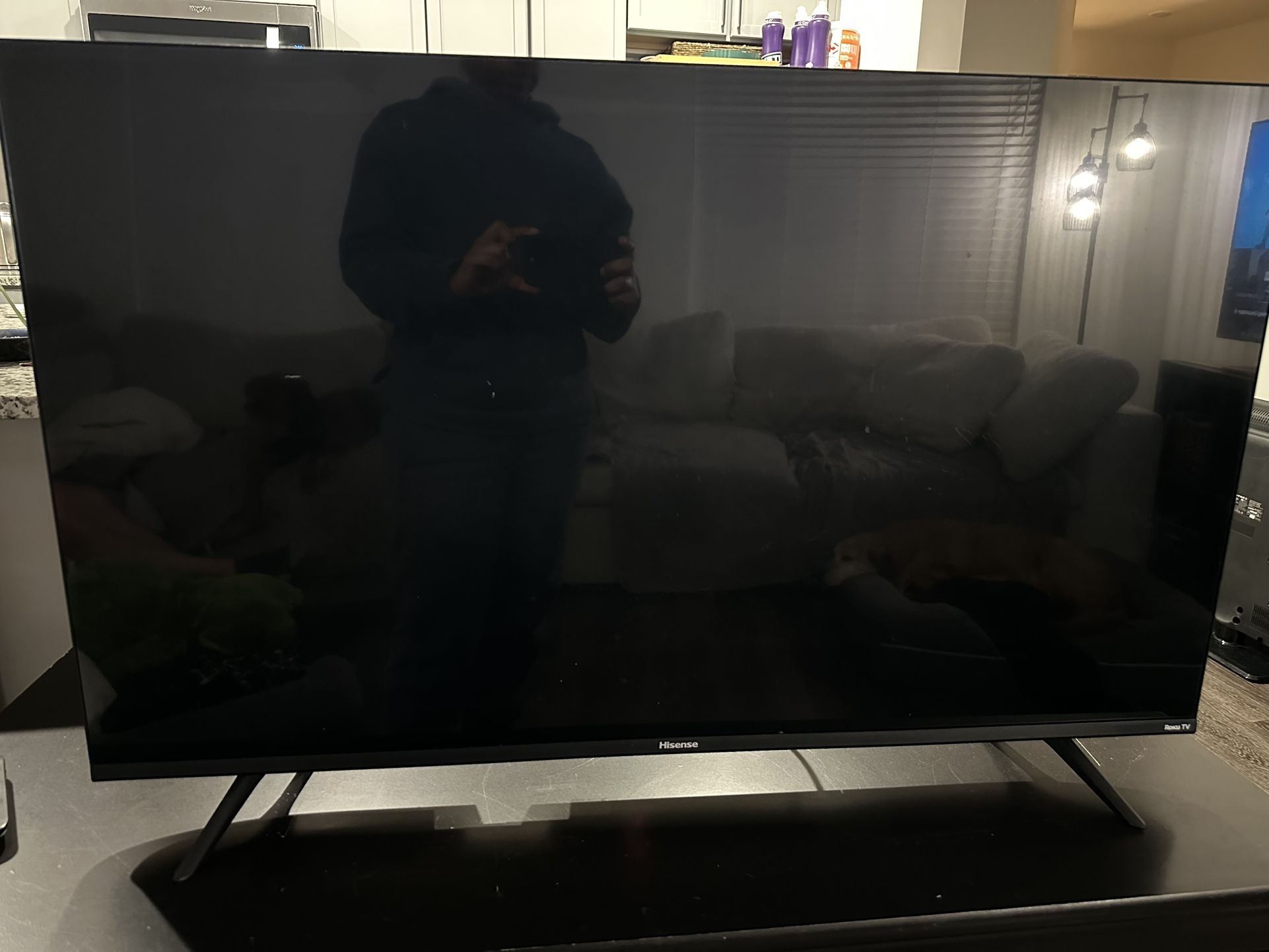 Hisense 42” Roku TV – For Parts / Not Working (Power Light Only)