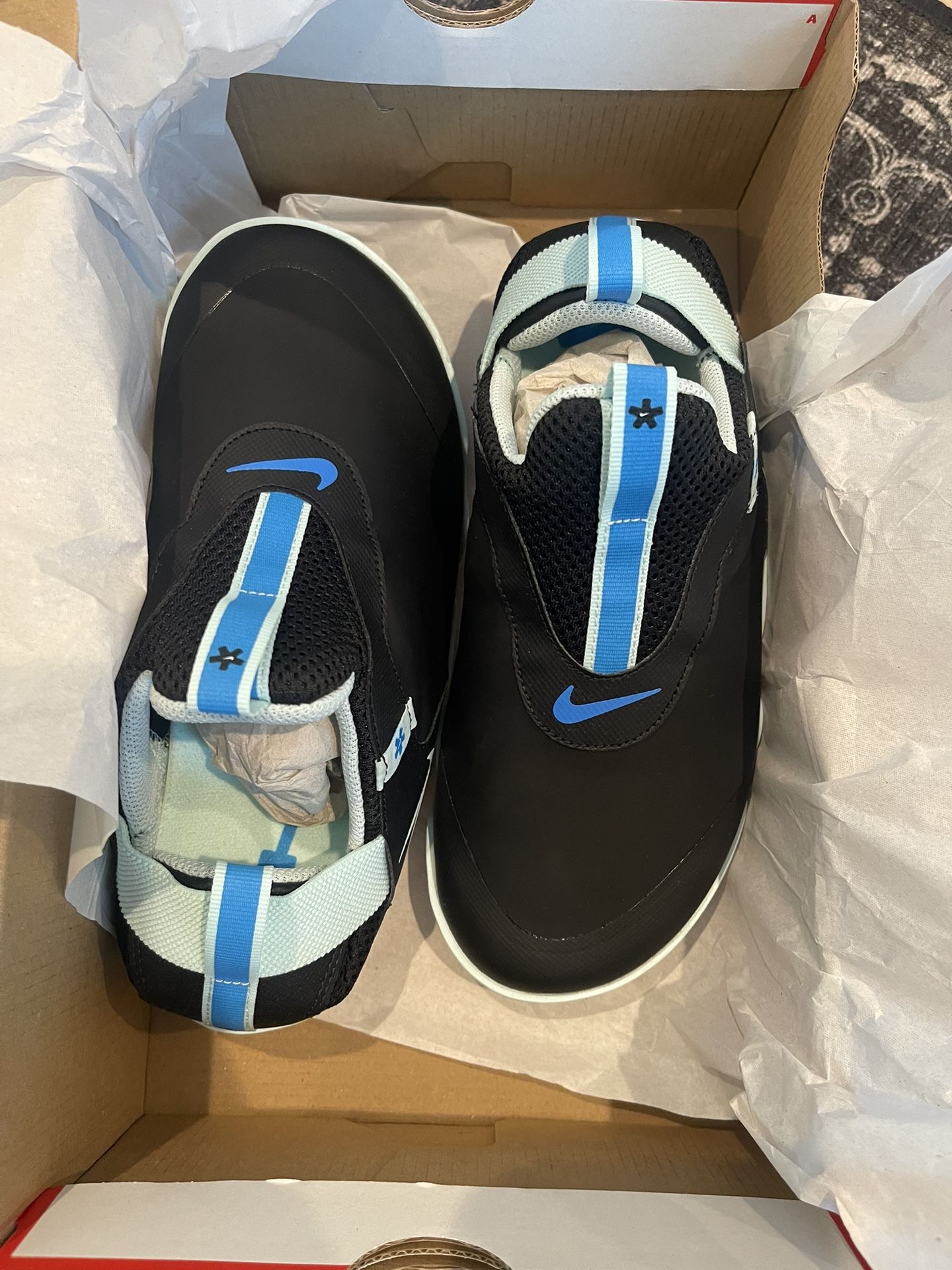 Nike Zoom Pulse Shoe