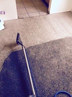 Carpet Cleaner