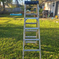 Werner 6ft Ladders
