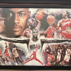 Chicago Bulls Michael Jordan Collage 24x36 Premium Poster
