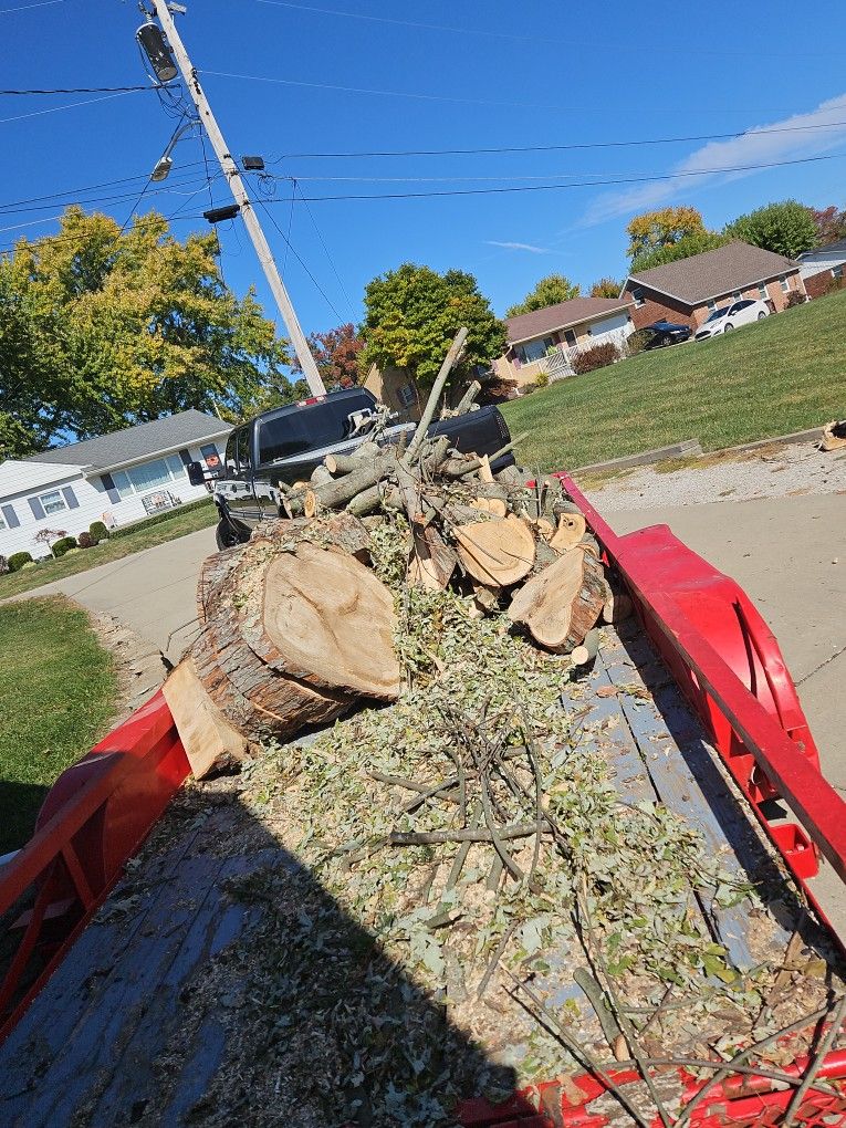 Free Log Dump