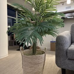 Tall Fake Plant