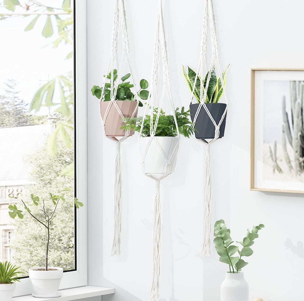 Boho Plant Hanger 3 piece 