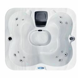New Spa 110V Plung And Play