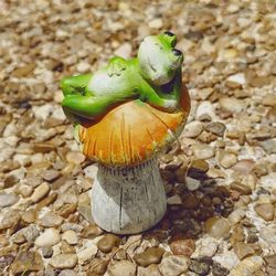 Mini Fairy Garden Cement Frog Laying On Orange Mushroom Sky Gazing