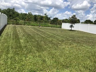Pavers