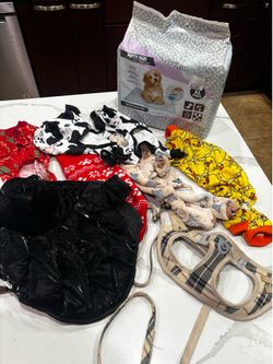 Small dog bundle