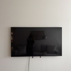 Samsung 56” With Mounting 