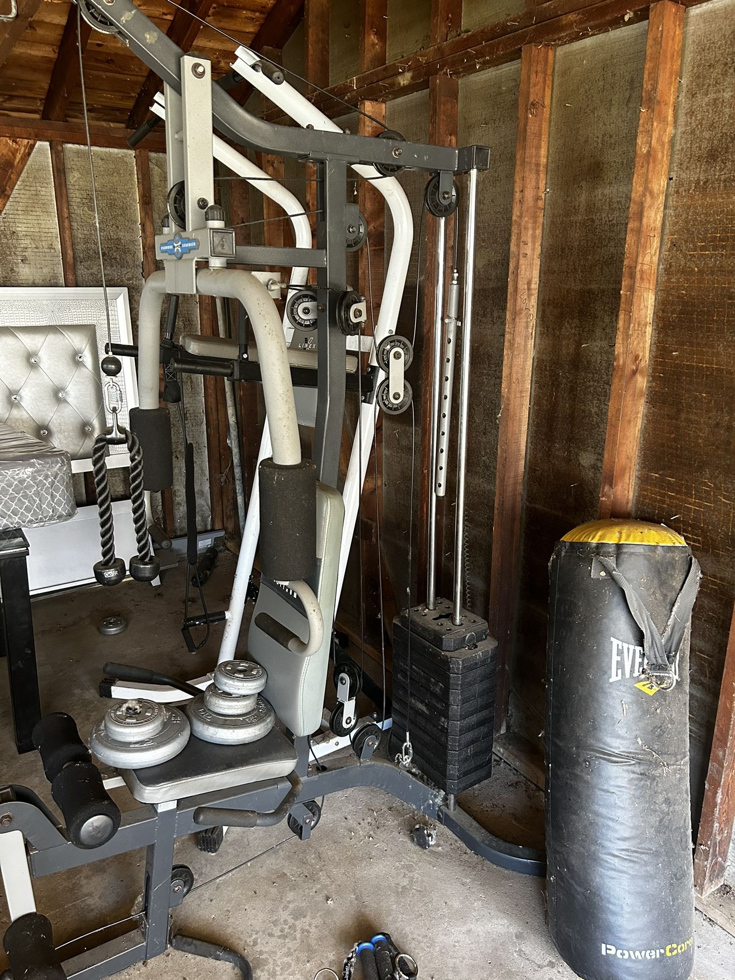 $1 Gym/weights Equipment 