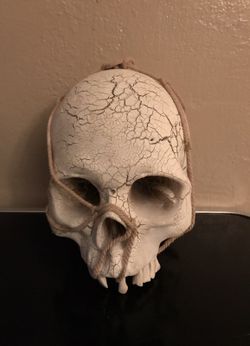 Halloween Skeleton Skull Lights up