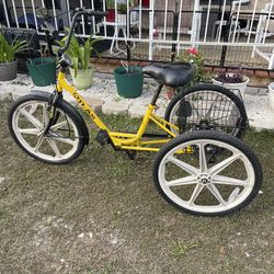 Atlas Trike Bike