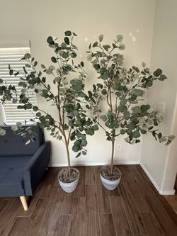 Decorative Artificial Eucalyptus Trees | Great Condition