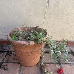 Large pot with grapevines on it- free if you can lift it and have a truck- want gone asap