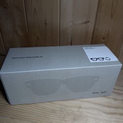 Meta Rayban Display 